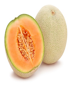 CANTALOUPE